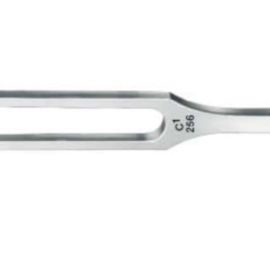 Tuning Forks / Hartmann C1 256