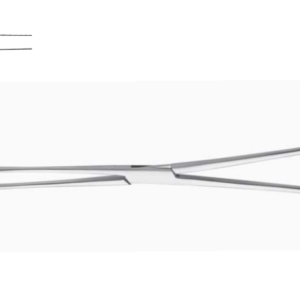 Sponge Forceps/Bergmann24 cm / 9 4 / 8"